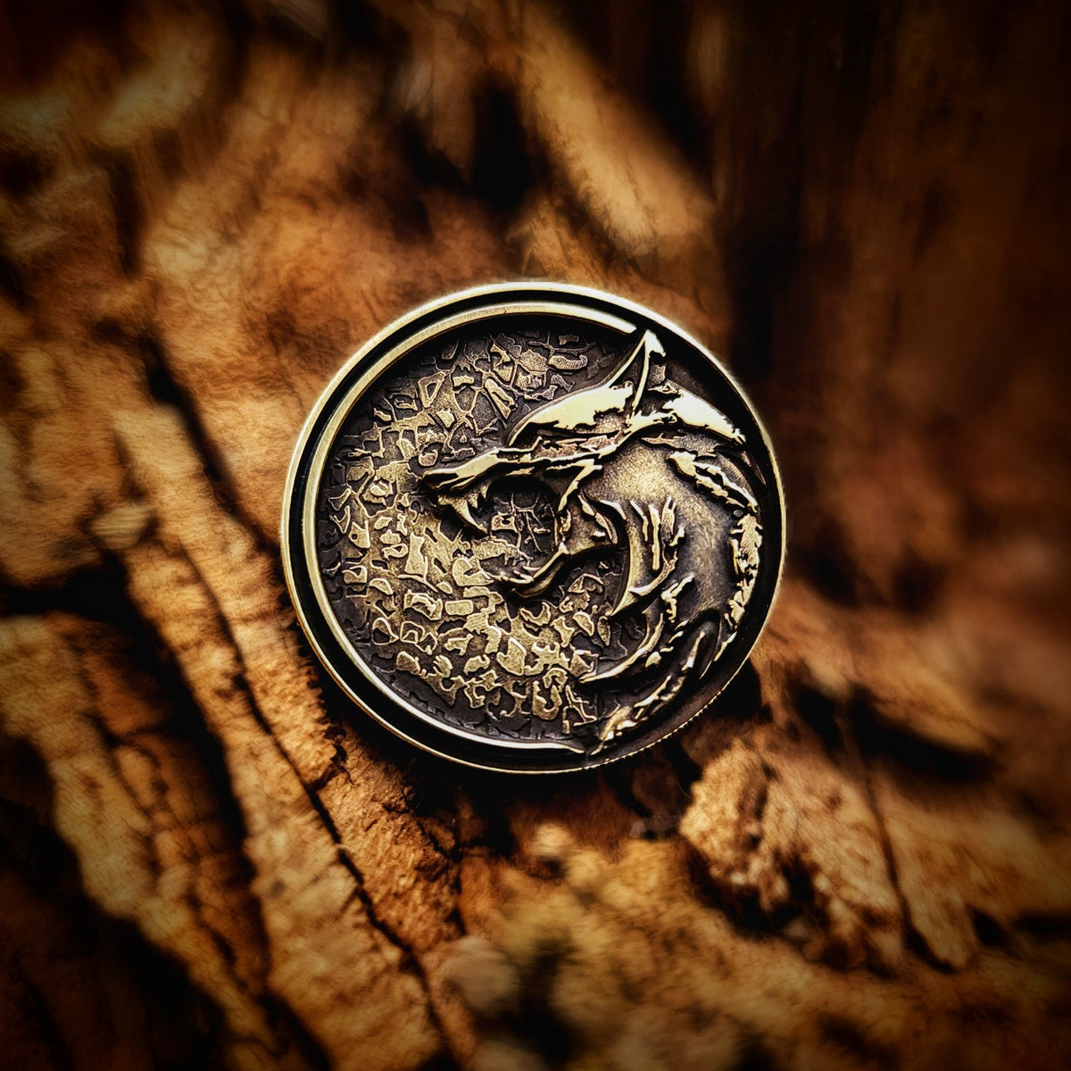 Witcher Themed Coin