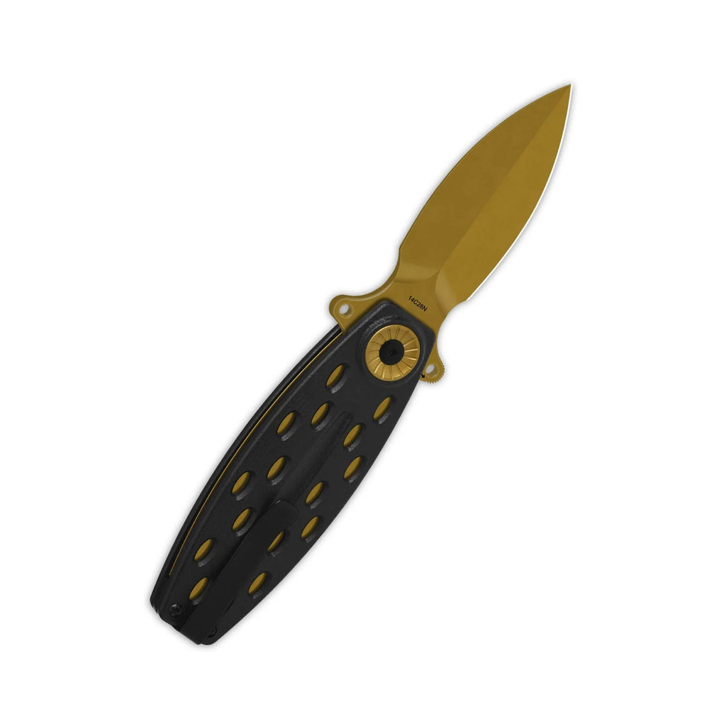 QSP Beetle